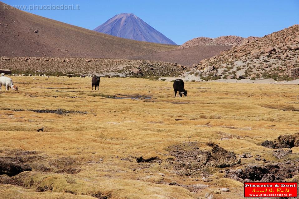 CILE - Sulla strada per San Pedro de Acatama - 04.jpg